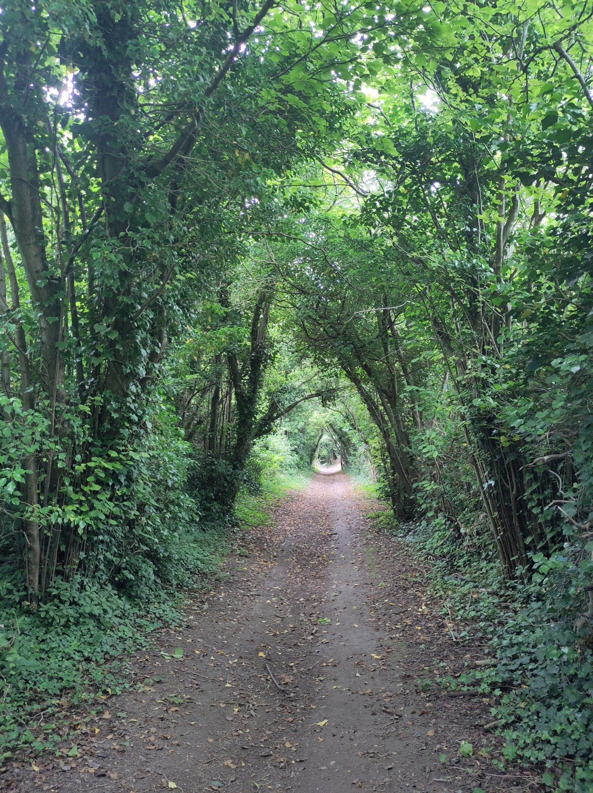 Walking the Pilgrims’ Way day 3: Wrotham to&nbsp;Aylesford